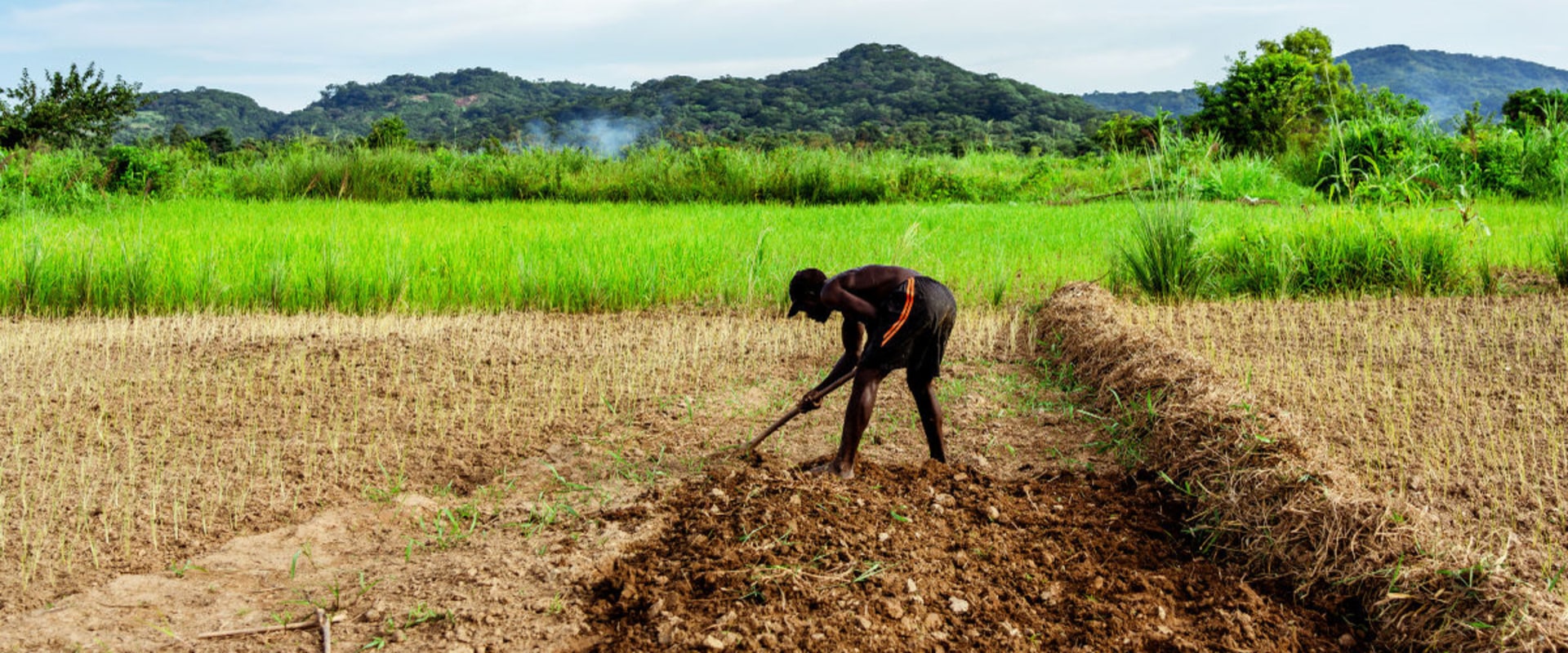 The Impact of Fertilizer Use on Oahu's Farms: Best Practices for Sustainable Agriculture