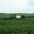 What is the Most Common Fertilizer Used by Farmers?