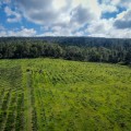 Revolutionizing Agriculture on Oahu: How Technology is Transforming Farms