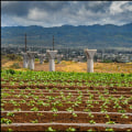 Urbanization's Impact on Oahu's Farms: A Comprehensive Look