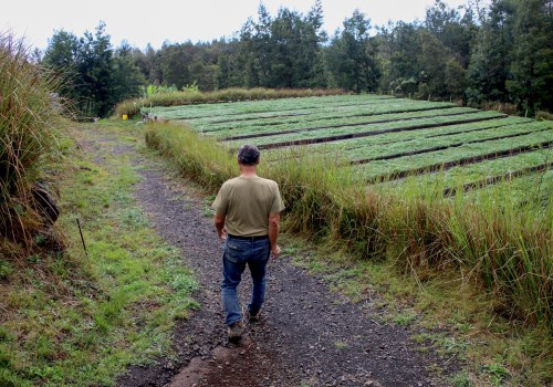 What Challenges Do Farmers in Oahu Face?