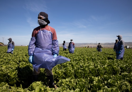 The Benefits of Crop Rotation for Oahu's Farms