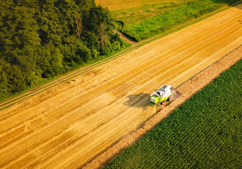 Strategies for a Sustainable Future in Agriculture Education and Training