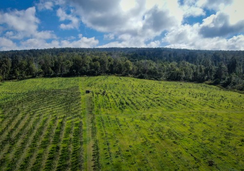 Revolutionizing Agriculture on Oahu: How Technology is Transforming Farms