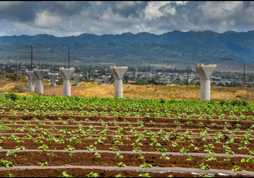 Urbanization's Impact on Oahu's Farms: A Comprehensive Look